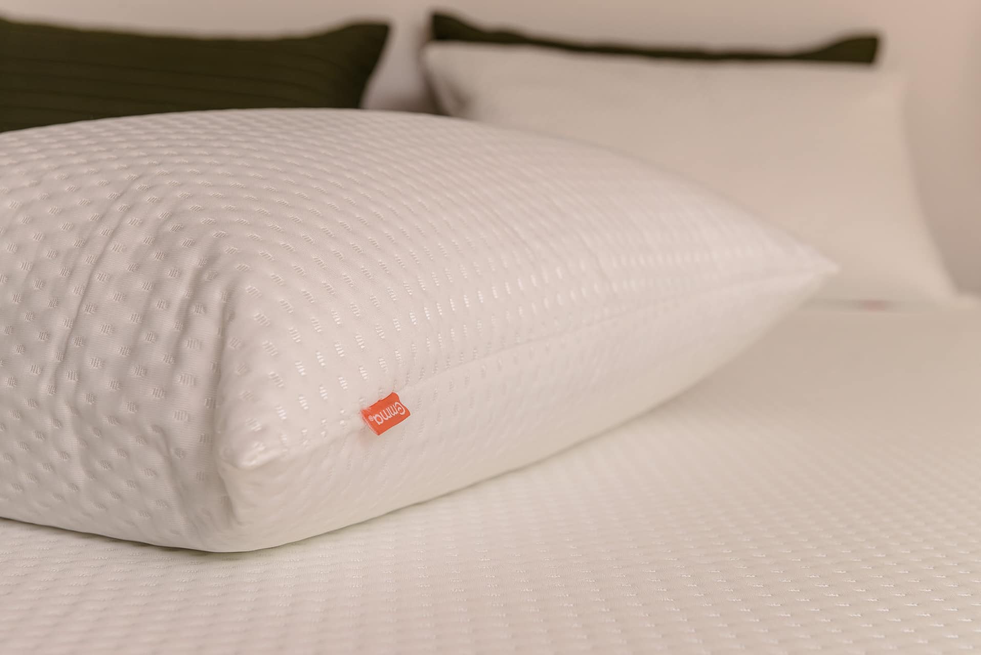 Protetor de Travesseiro - 2